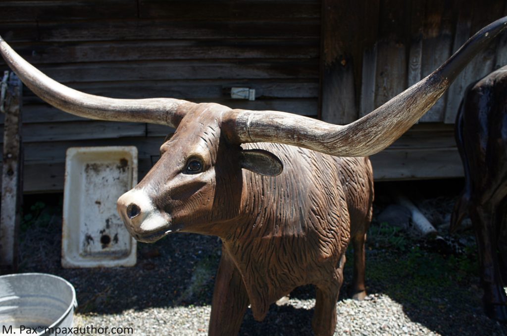 canyon city cow