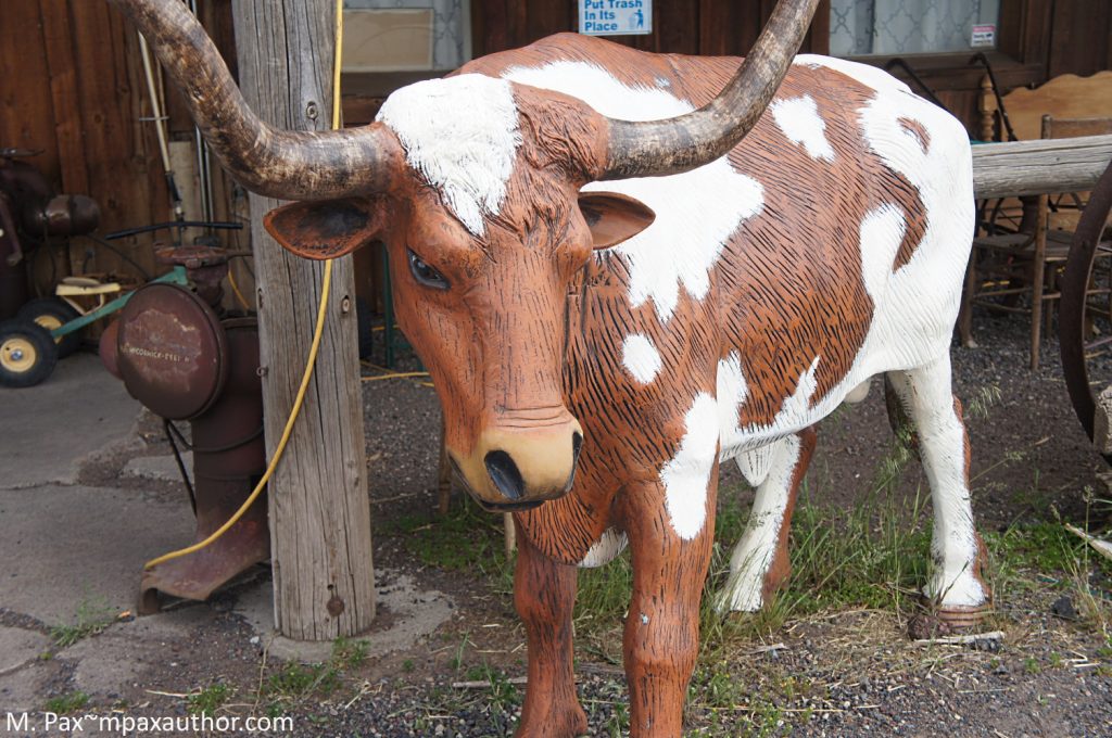 gangsta cow
