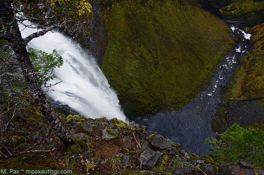 weird and wild oregon salt creek nature photography