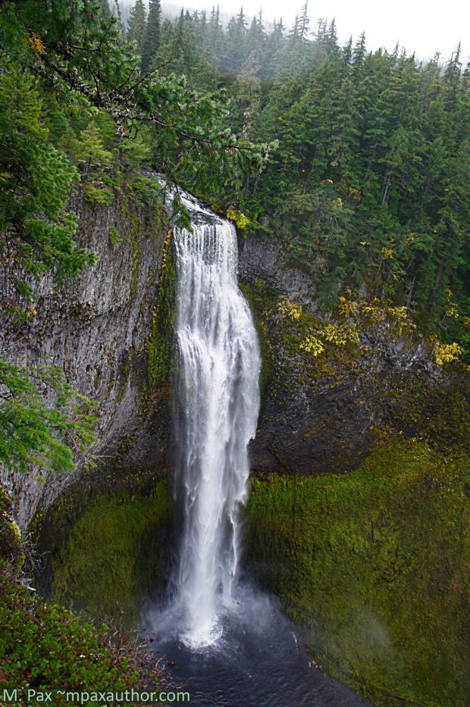 Weird and Wild Oregon Nature Photography