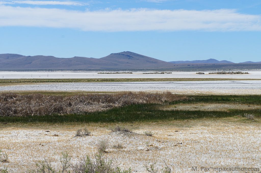 Alkali Lake, discovering Oregon
