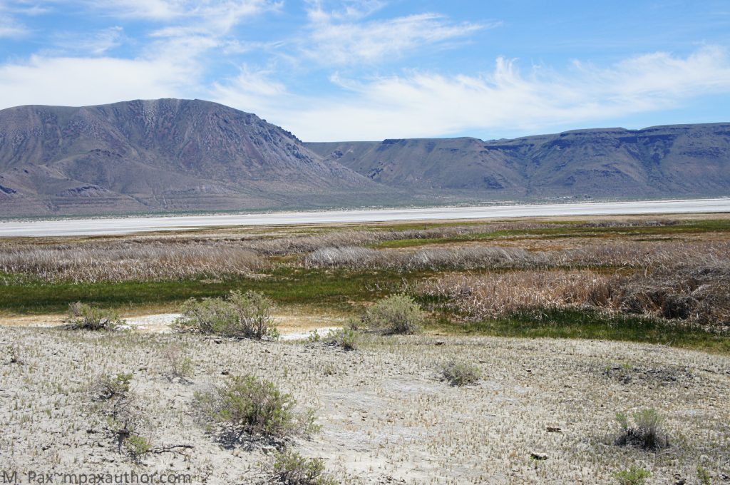 Alkali Lake, discovering Oregon