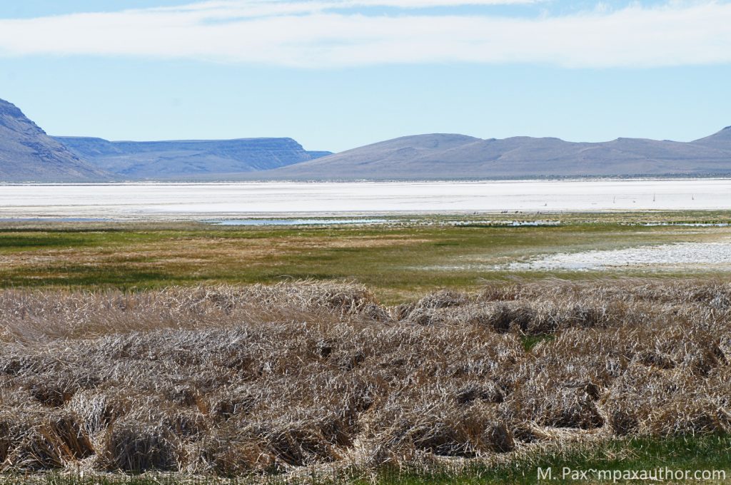 Alkali Lake, discovering Oregon