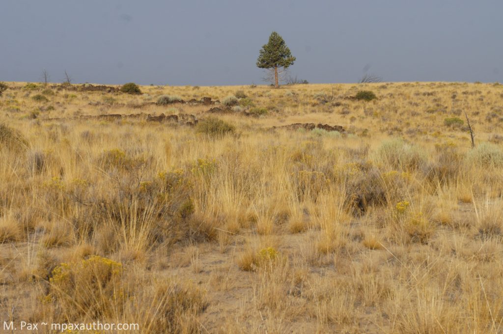 explore mysterious petroglyph cave