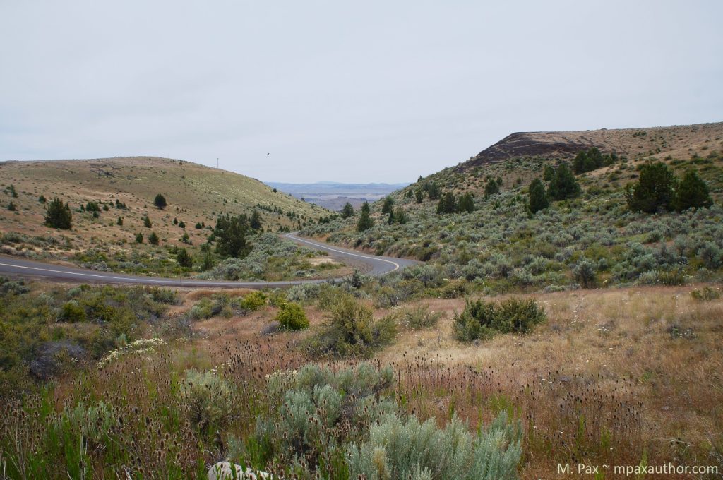 exploring Oregon, Antelope
