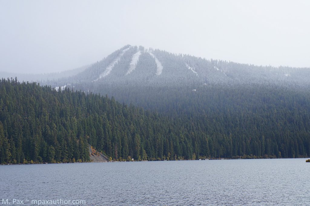 Weird and wonderful Oregon